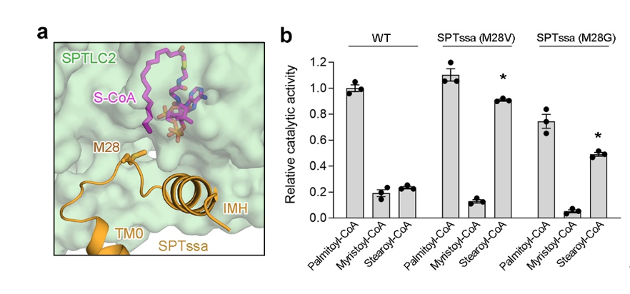 生物系龚欣课题组在nature structural molecular biology发文报道