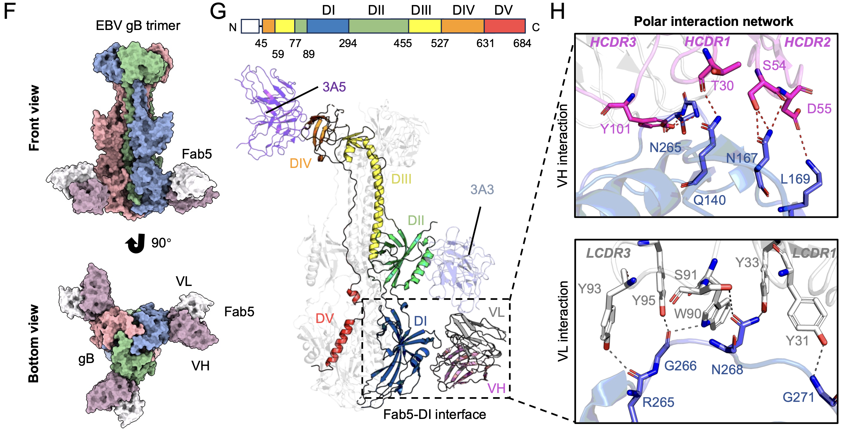 A diagram of a dna molecule

AI-generated content may be incorrect.