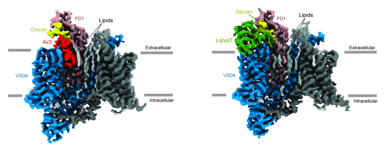 A close-up of several different colored shapes

AI-generated content may be incorrect.