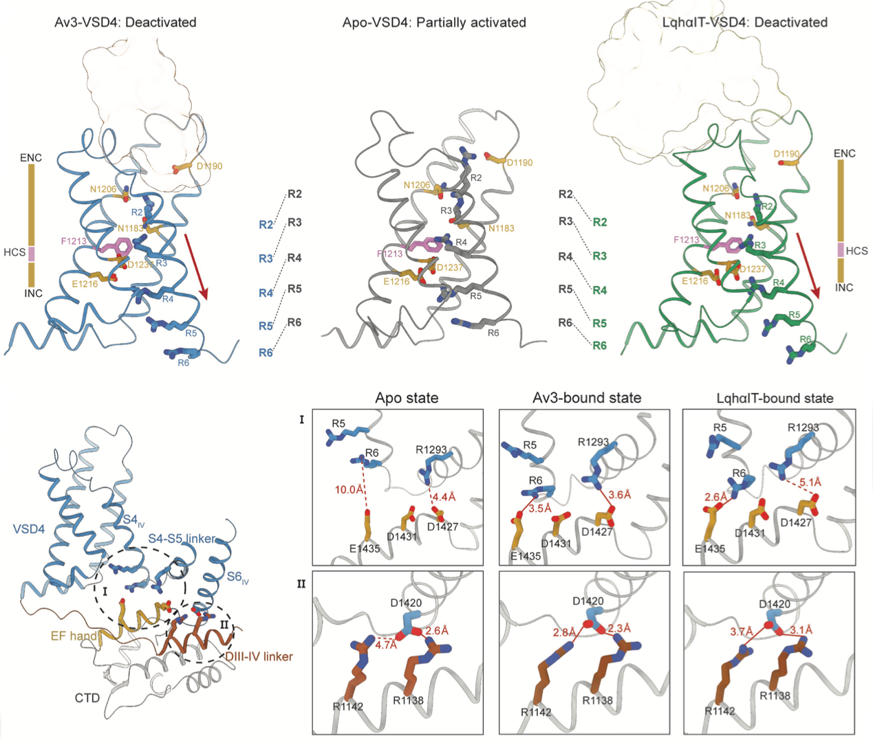 A diagram of a dna molecule

AI-generated content may be incorrect.